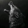 alpha_beta_wolf